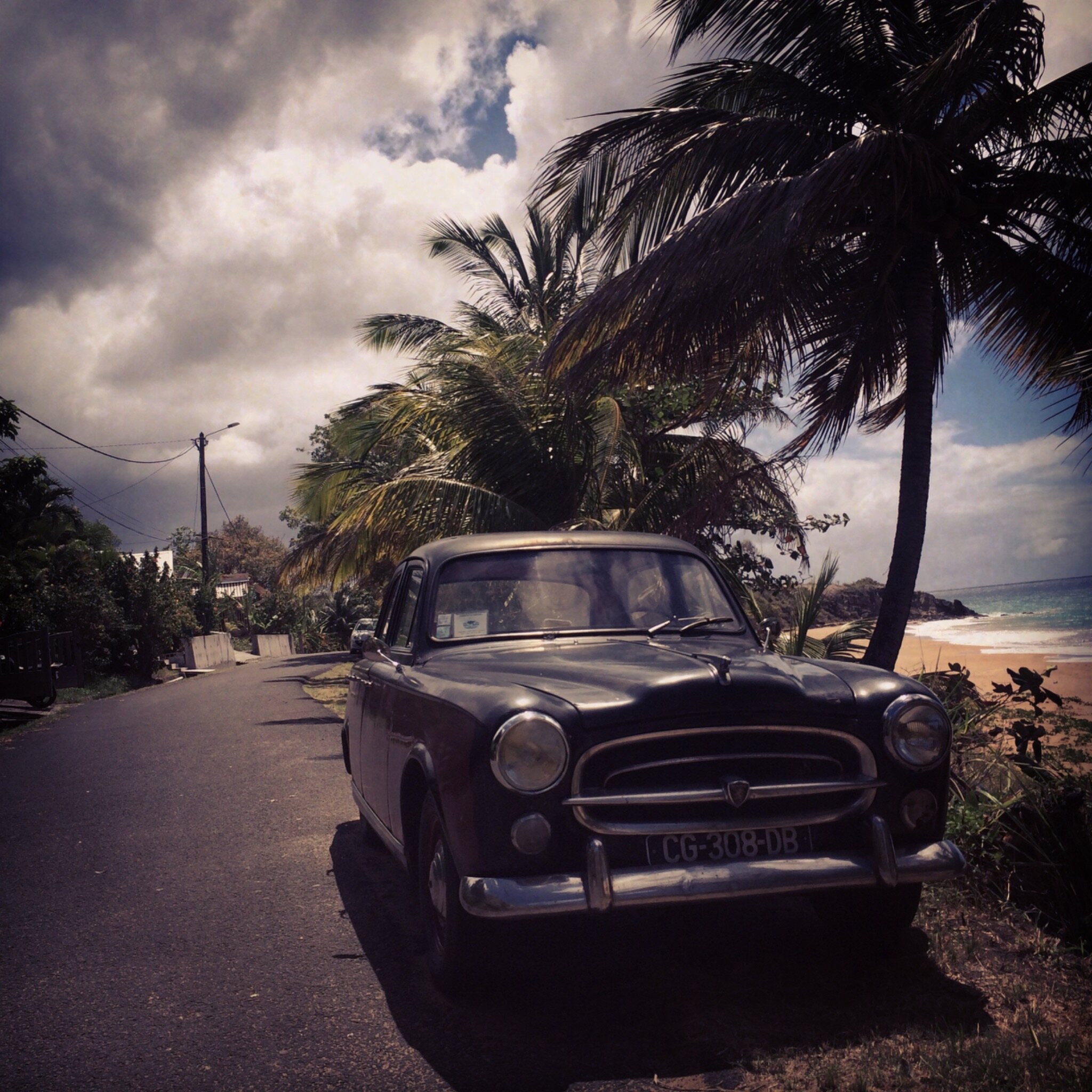 Classic car, palms and coastline scouted in the Caribbean